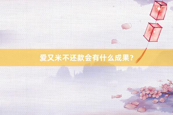 爱又米不还款会有什么成果？