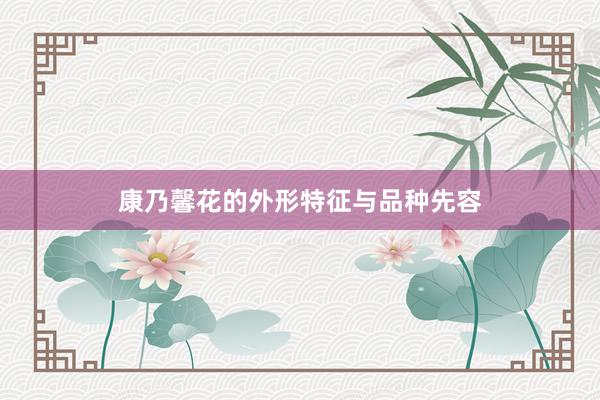 康乃馨花的外形特征与品种先容